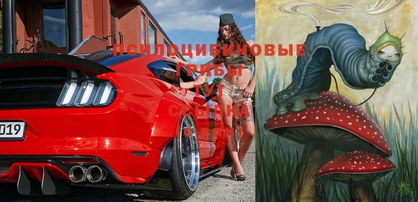 прущий лед Кинешма