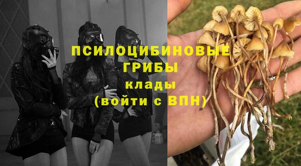 трава Касимов